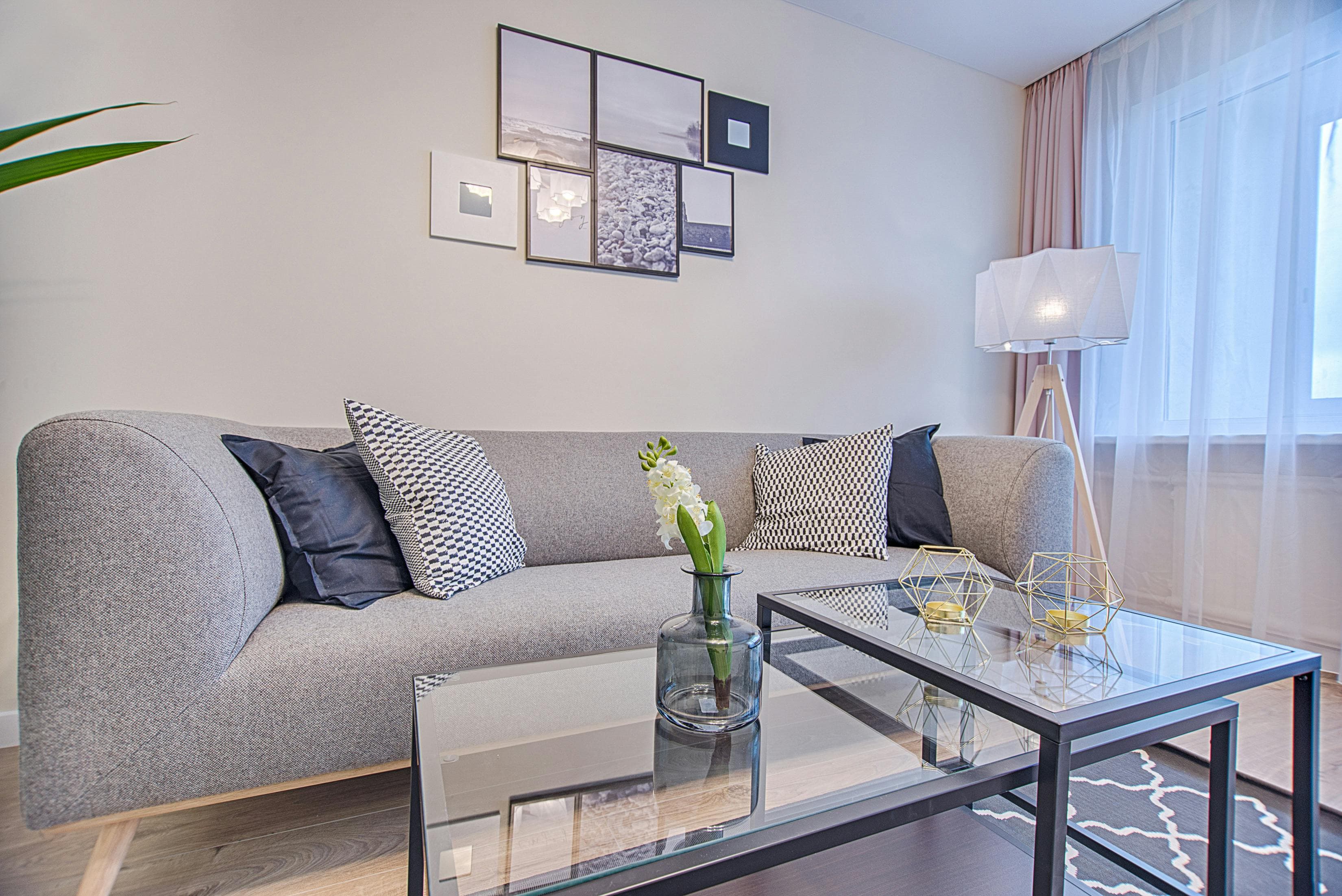 Experience Elevated Living